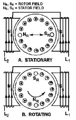 Split Phase Motor Diagram